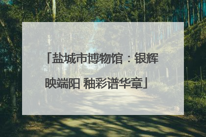 盐城市博物馆：银辉映端阳 釉彩谱华章