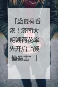 盛夏荷香浓！济南大明湖荷花率先开启“颜值暴击”