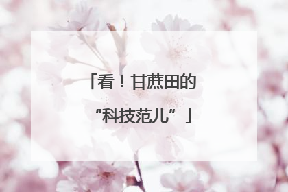 看！甘蔗田的“科技范儿”