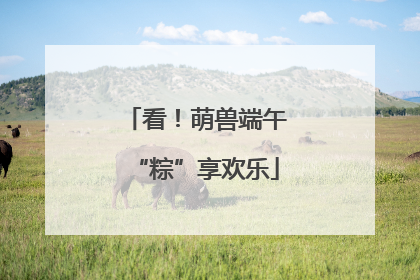 看！萌兽端午“粽”享欢乐