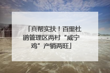 真帮实扶！百里杜鹃管理区两村“威宁鸡”产销两旺