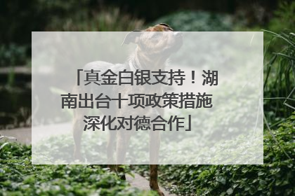 真金白银支持！湖南出台十项政策措施深化对德合作