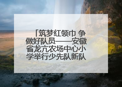 筑梦红领巾 争做好队员——安徽省龙亢农场中心小学举行少先队新队员入队仪式