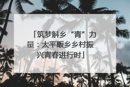 筑梦斛乡“青”力量：太平畈乡乡村振兴青春进行时