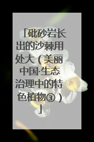 砒砂岩长出的沙棘用处大（美丽中国·生态治理中的特色植物③）