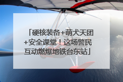 硬核装备+萌犬天团+安全课堂！这场警民互动燃爆地铁台东站