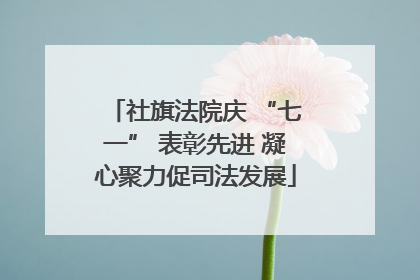 社旗法院庆 “七一” 表彰先进 凝心聚力促司法发展