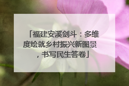 福建安溪剑斗：多维度绘就乡村振兴新图景，书写民生答卷
