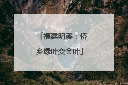 福建明溪：侨乡绿叶变金叶