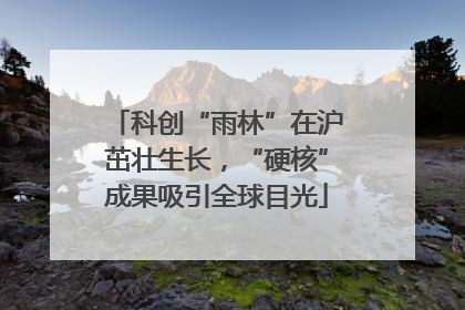 科创“雨林”在沪茁壮生长，“硬核”成果吸引全球目光