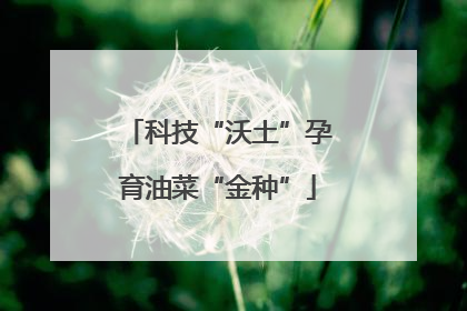 科技“沃土”孕育油菜“金种”