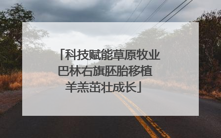 科技赋能草原牧业 巴林右旗胚胎移植羊羔茁壮成长