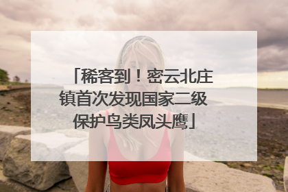 稀客到！密云北庄镇首次发现国家二级保护鸟类凤头鹰