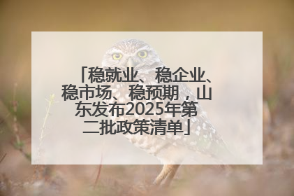 稳就业、稳企业、稳市场、稳预期，山东发布2025年第二批政策清单