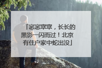 窸窸窣窣，长长的黑影一闪而过！北京有住户家中蛇出没