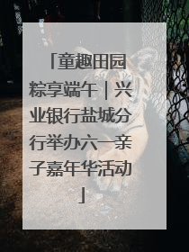 童趣田园 粽享端午｜兴业银行盐城分行举办六一亲子嘉年华活动