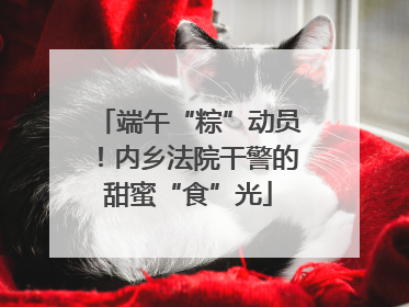端午“粽”动员！内乡法院干警的甜蜜“食”光