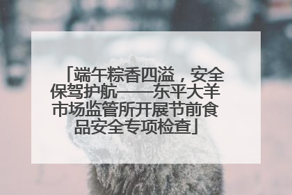 端午粽香四溢，安全保驾护航——东平大羊市场监管所开展节前食品安全专项检查
