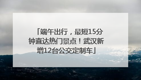端午出行，最短15分钟直达热门景点！武汉新增12台公交定制车