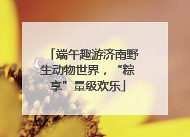 端午趣游济南野生动物世界，“粽享”量级欢乐