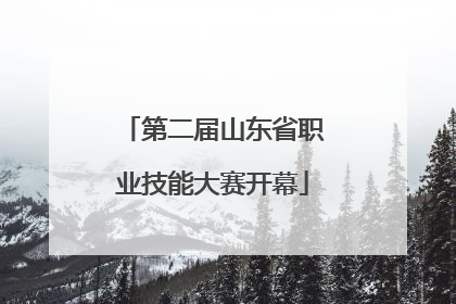 第二届山东省职业技能大赛开幕