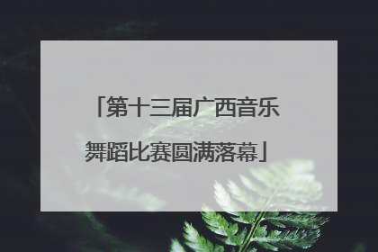 第十三届广西音乐舞蹈比赛圆满落幕