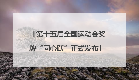 第十五届全国运动会奖牌“同心跃”正式发布