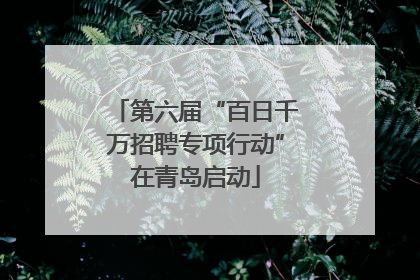 第六届“百日千万招聘专项行动”在青岛启动