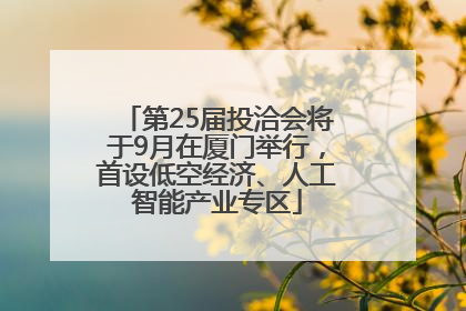 第25届投洽会将于9月在厦门举行，首设低空经济、人工智能产业专区