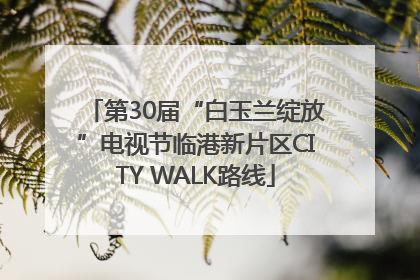 第30届“白玉兰绽放”电视节临港新片区CITY WALK路线