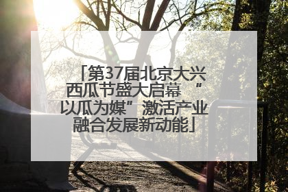 第37届北京大兴西瓜节盛大启幕 “以瓜为媒”激活产业融合发展新动能
