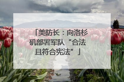 美防长：向洛杉矶部署军队“合法且符合宪法”