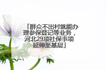 群众不出村就能办理参保登记等业务，河北29项社保事项延伸至基层