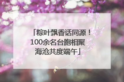 粽叶飘香话同源！100余名台胞相聚海沧共度端午