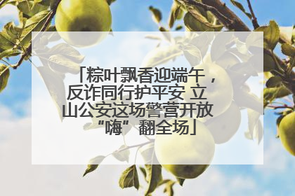 粽叶飘香迎端午，反诈同行护平安 立山公安这场警营开放“嗨”翻全场