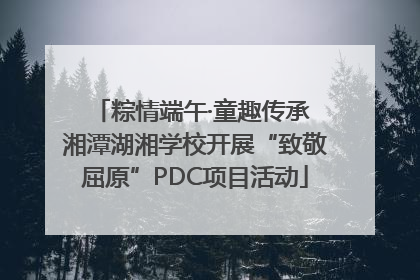 粽情端午·童趣传承 湘潭湖湘学校开展“致敬屈原”PDC项目活动