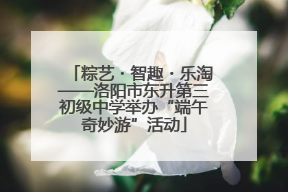 粽艺・智趣・乐淘——洛阳市东升第三初级中学举办“端午奇妙游”活动
