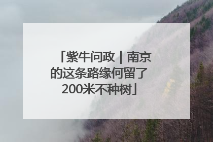 紫牛问政｜南京的这条路缘何留了200米不种树