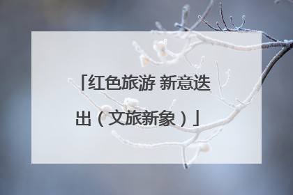 红色旅游 新意迭出（文旅新象）