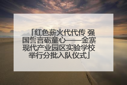红色薪火代代传 强国誓言砺童心——金寨现代产业园区实验学校举行分批入队仪式