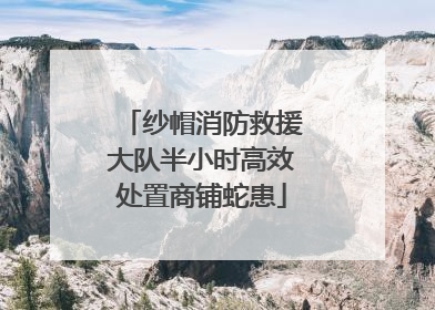 纱帽消防救援大队半小时高效处置商铺蛇患