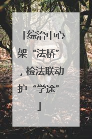 综治中心架“法桥”，检法联动护“学途”