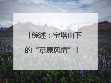 综述：宝塔山下的“草原风情”