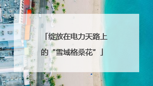 绽放在电力天路上的“雪域格桑花”