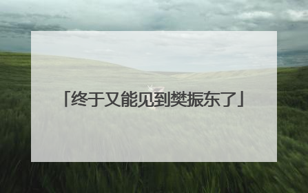 终于又能见到樊振东了