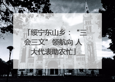 绥宁东山乡：“三会三文”领航向 人大代表助农忙