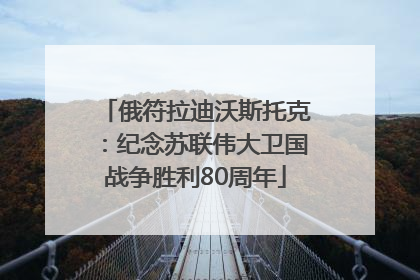 俄符拉迪沃斯托克：纪念苏联伟大卫国战争胜利80周年