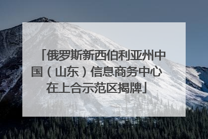 俄罗斯新西伯利亚州中国（山东）信息商务中心在上合示范区揭牌