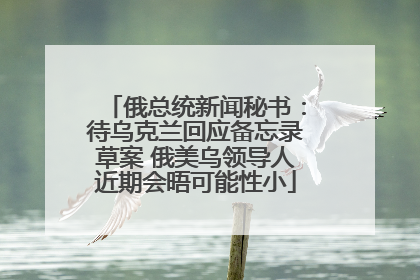 俄总统新闻秘书：待乌克兰回应备忘录草案 俄美乌领导人近期会晤可能性小