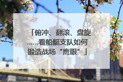 俯冲、翻滚、盘旋……看船艇支队如何锻造战场“鹰眼”